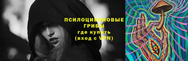 дмт Алзамай
