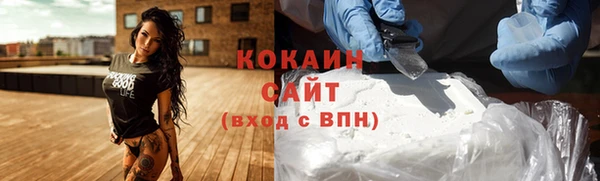СК Алексин
