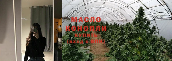 дмт Алзамай
