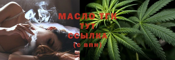 СК Алексин